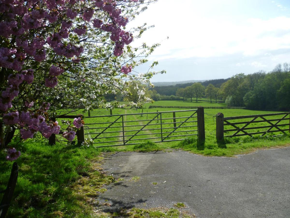 Moaps Farm B&B Support Small Business, Welcome, Check In From 5 Pm Danehill Exterior foto