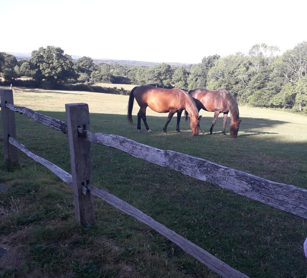 Moaps Farm B&B Support Small Business, Welcome, Check In From 5 Pm Danehill Exterior foto