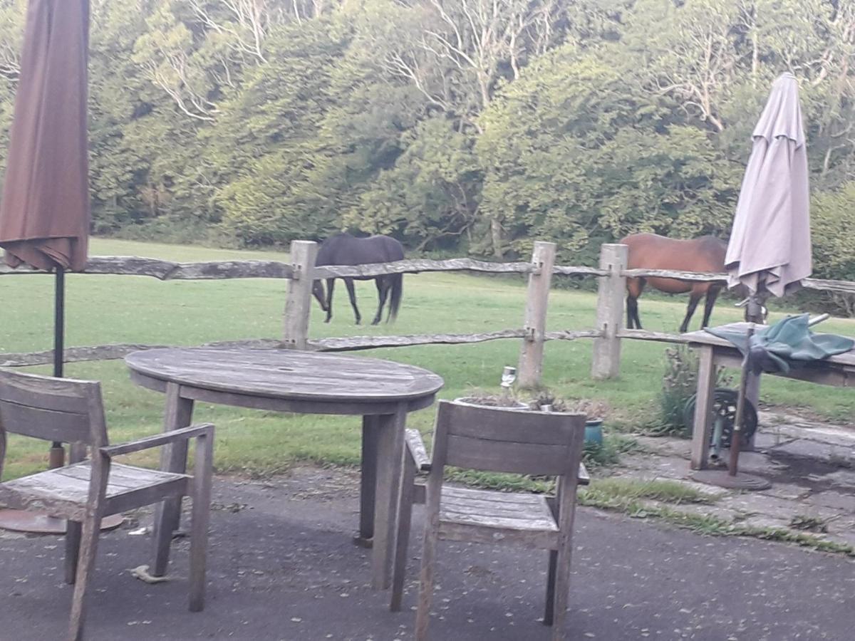 Moaps Farm B&B Support Small Business, Welcome, Check In From 5 Pm Danehill Exterior foto