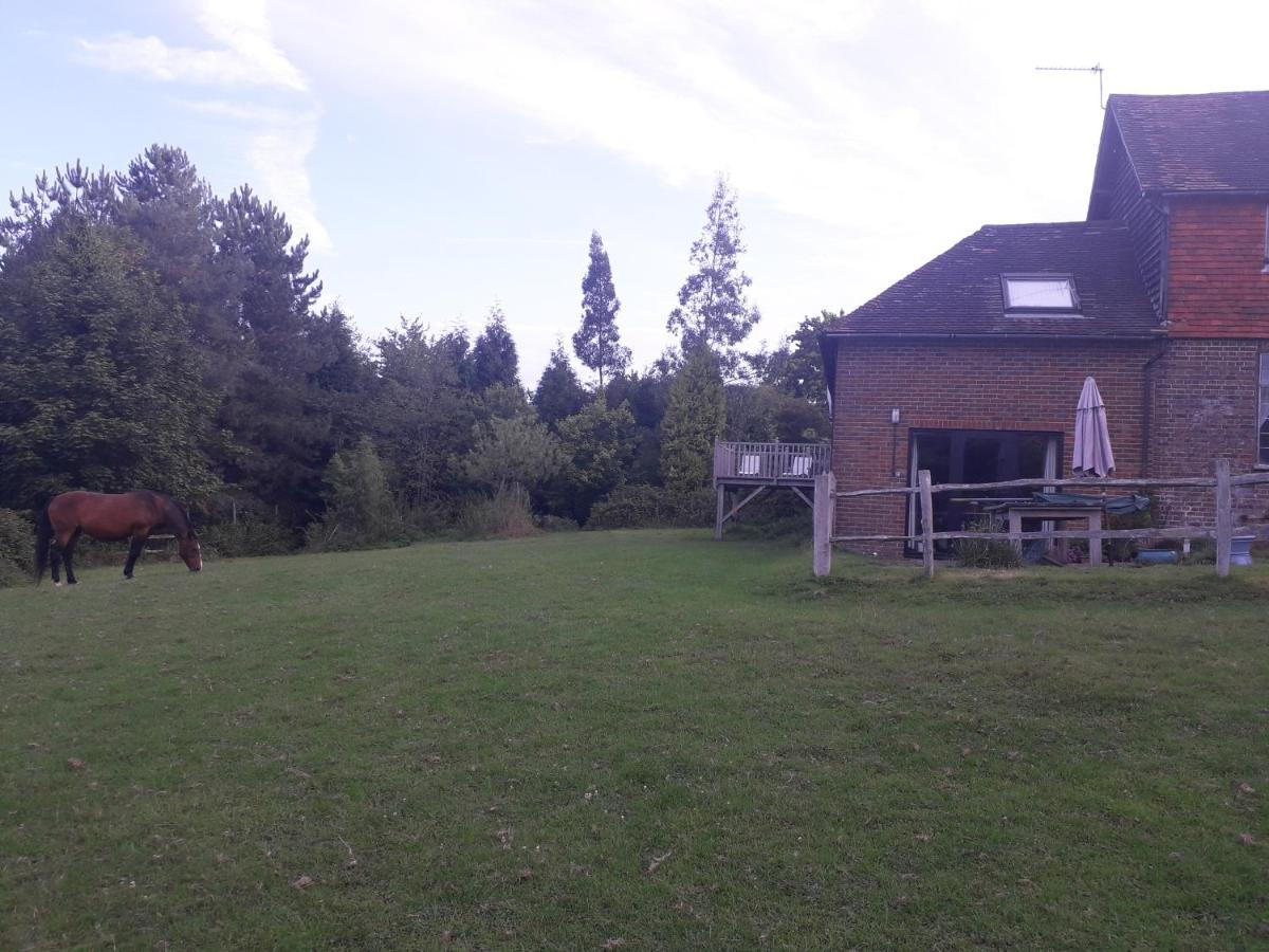 Moaps Farm B&B Support Small Business, Welcome, Check In From 5 Pm Danehill Exterior foto