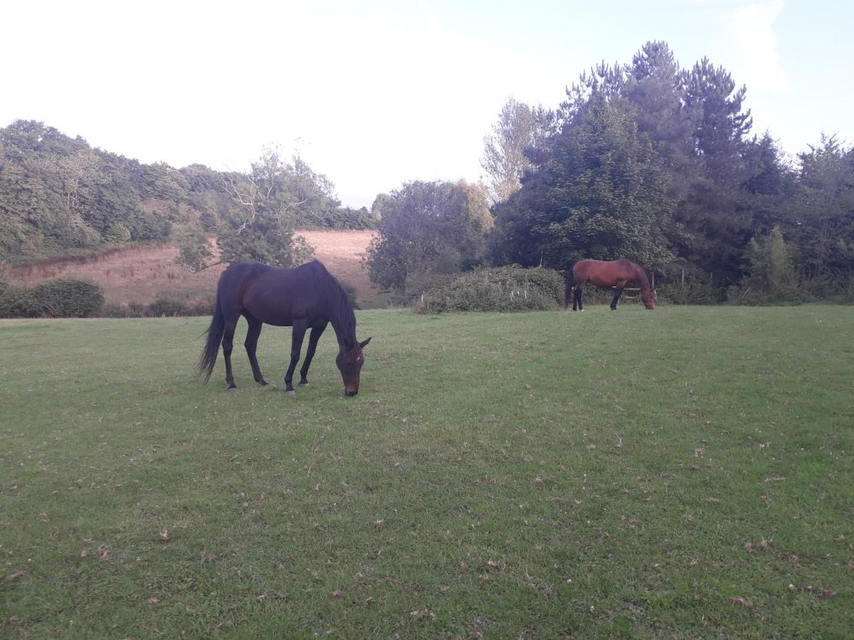 Moaps Farm B&B Support Small Business, Welcome, Check In From 5 Pm Danehill Exterior foto