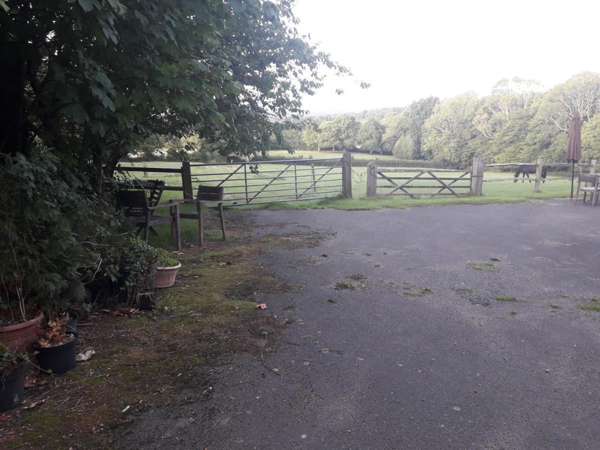 Moaps Farm B&B Support Small Business, Welcome, Check In From 5 Pm Danehill Exterior foto