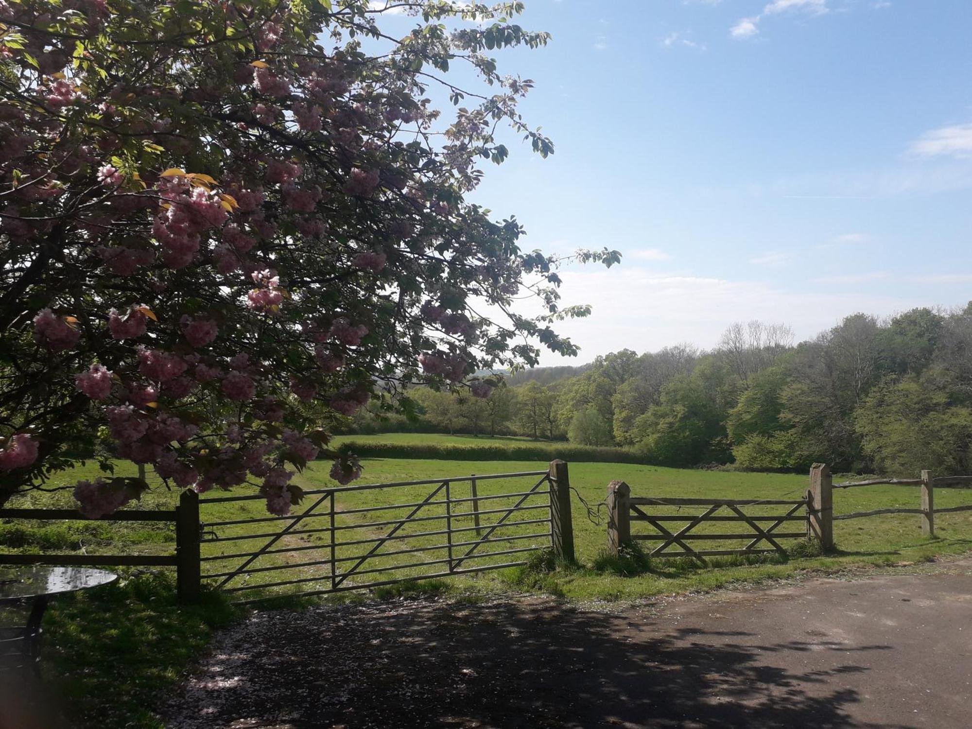 Moaps Farm B&B Support Small Business, Welcome, Check In From 5 Pm Danehill Exterior foto